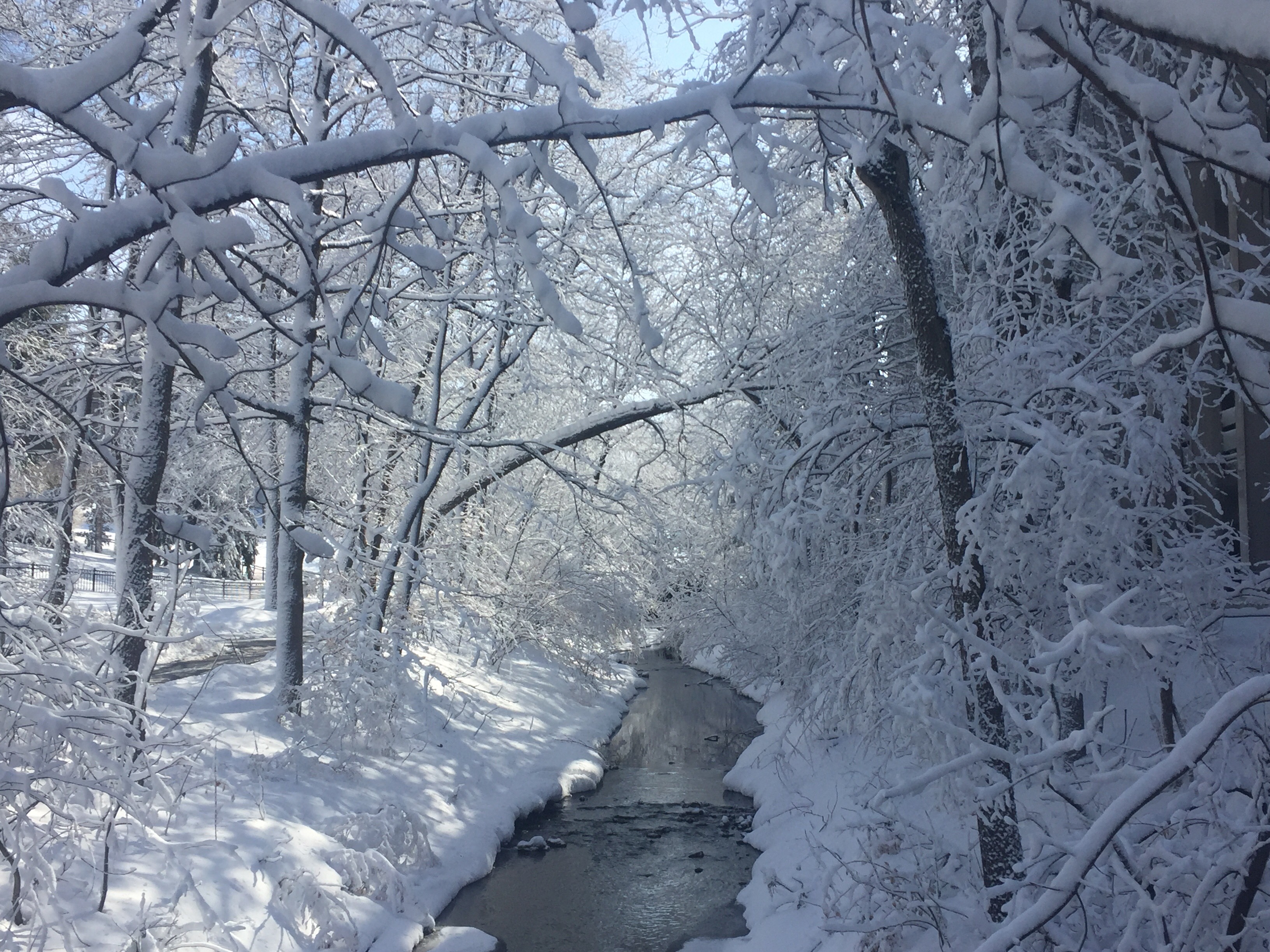 February 2019 Wx Photo of Month