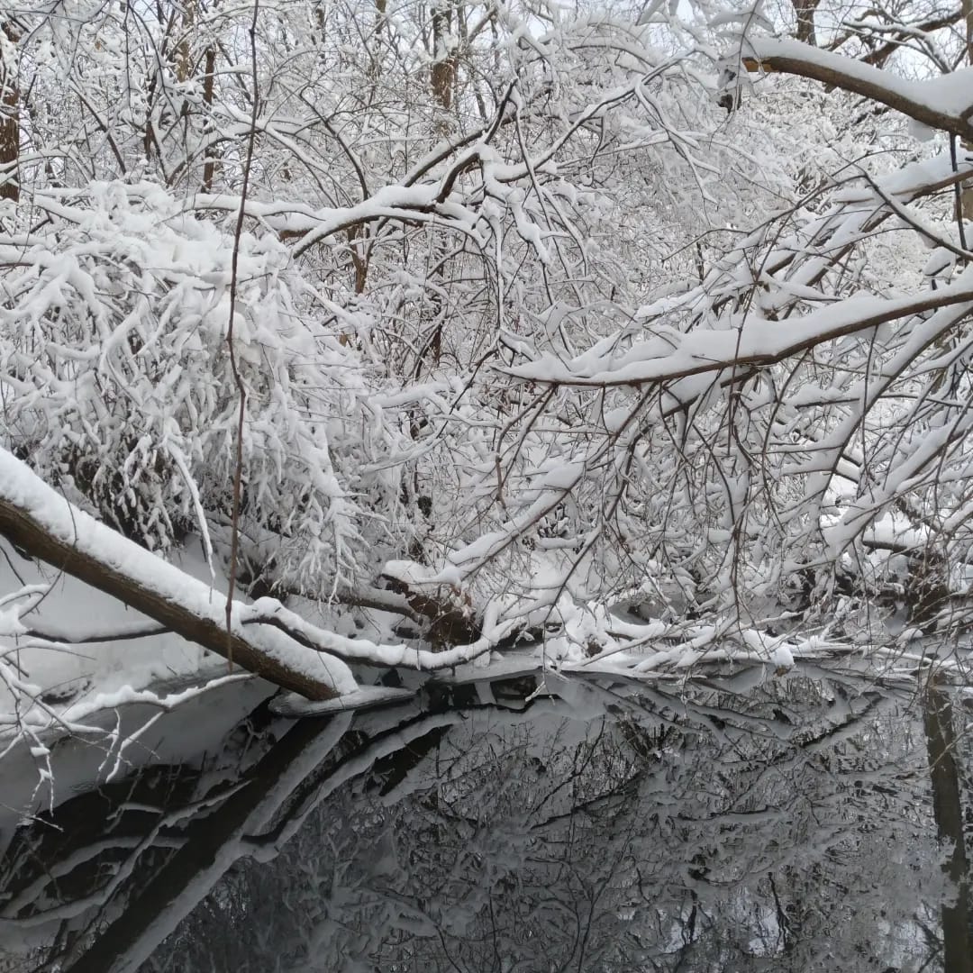 February 2022 Wx Photo of Month