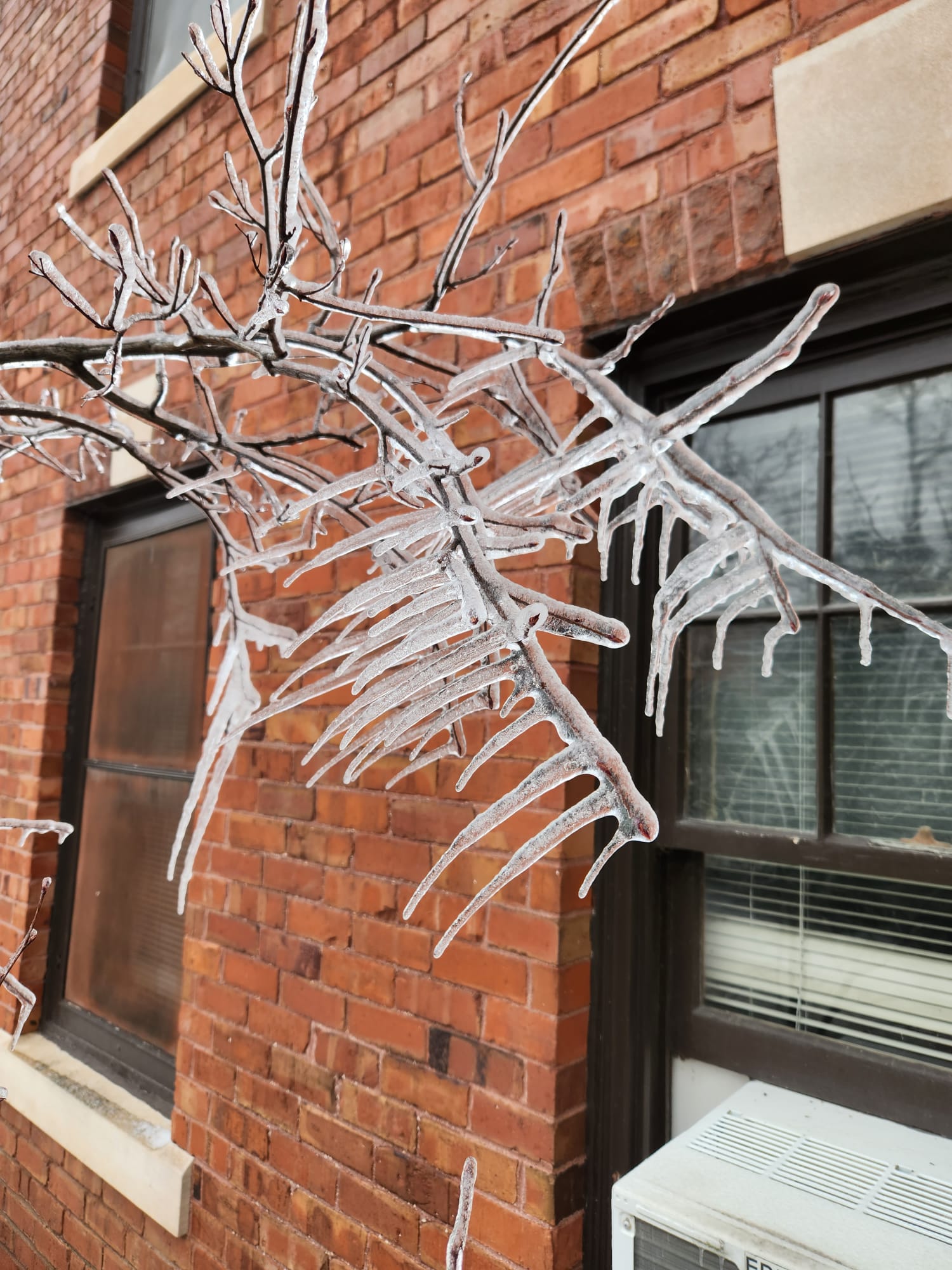 February 2023 Wx Photo of Month