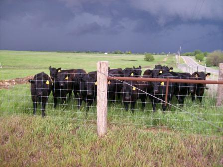 May 15 chase header picture